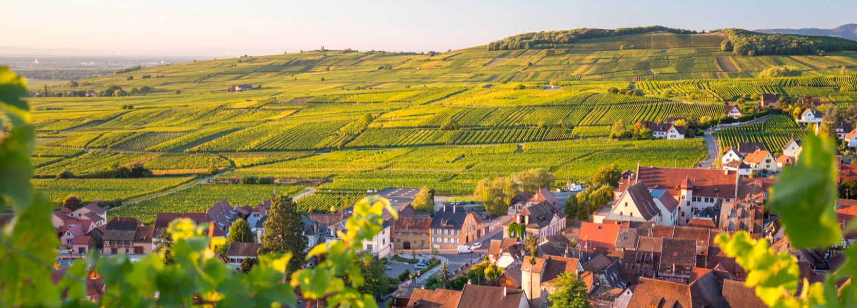 Route des vins - Bourgogne